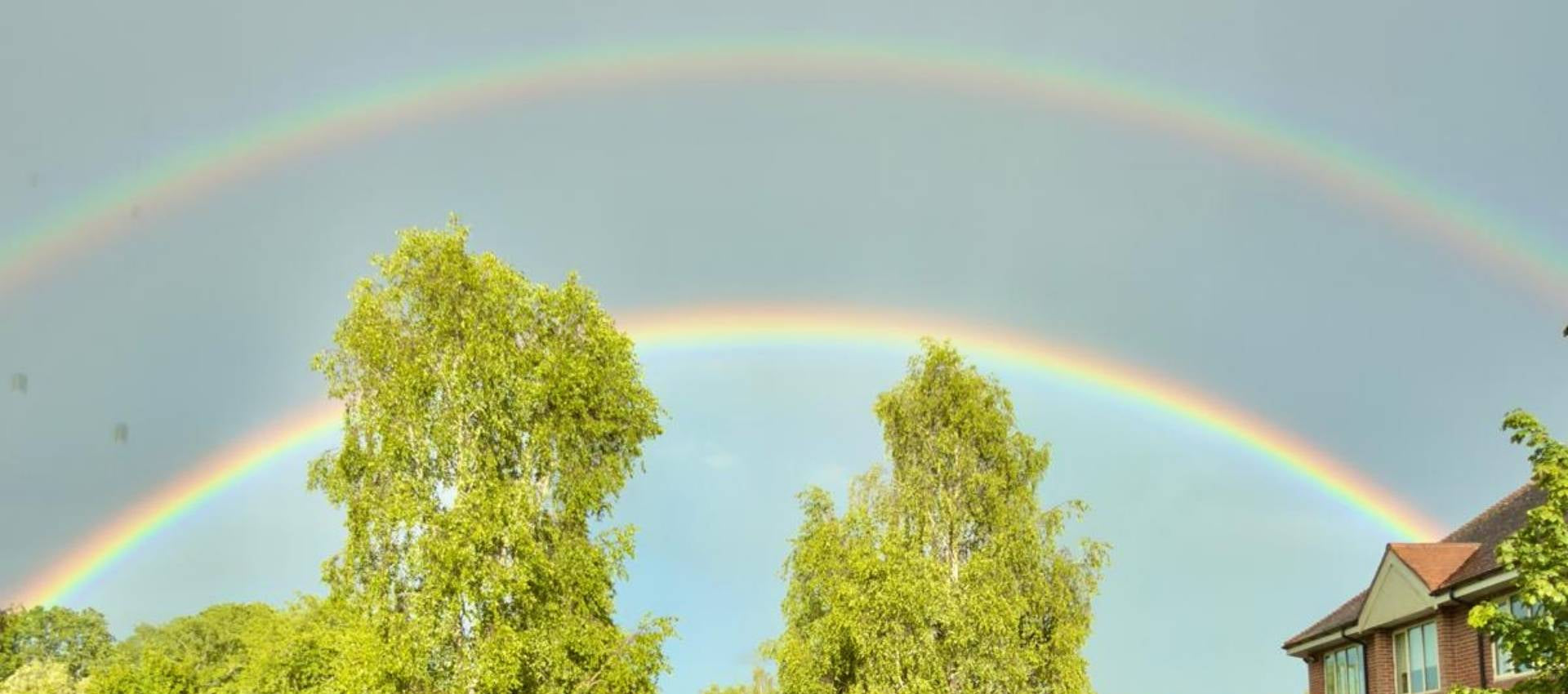 Double rainbow over a residential area with houses and trees.