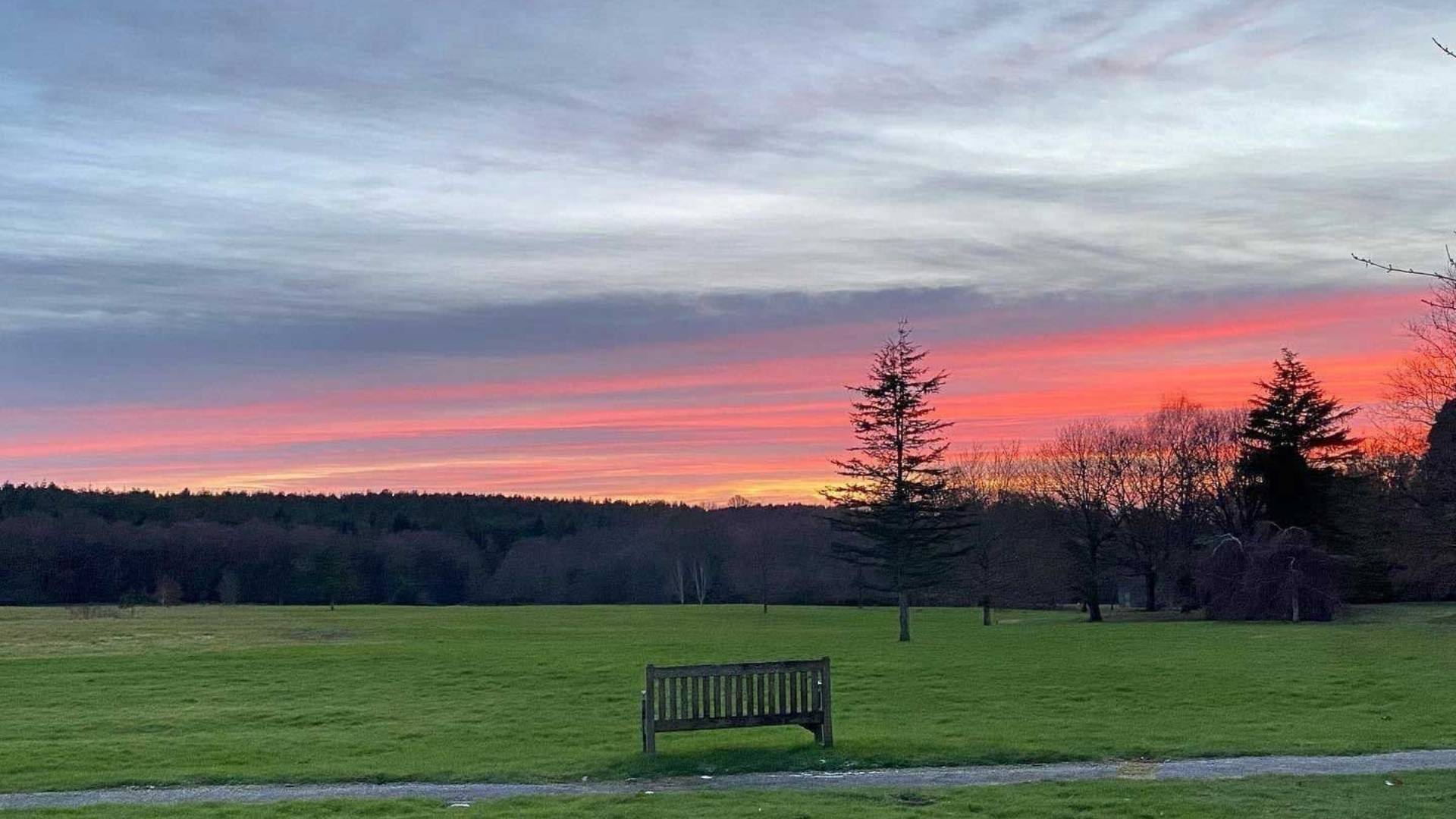 Bench in a grassy field with a colorful sunset sky